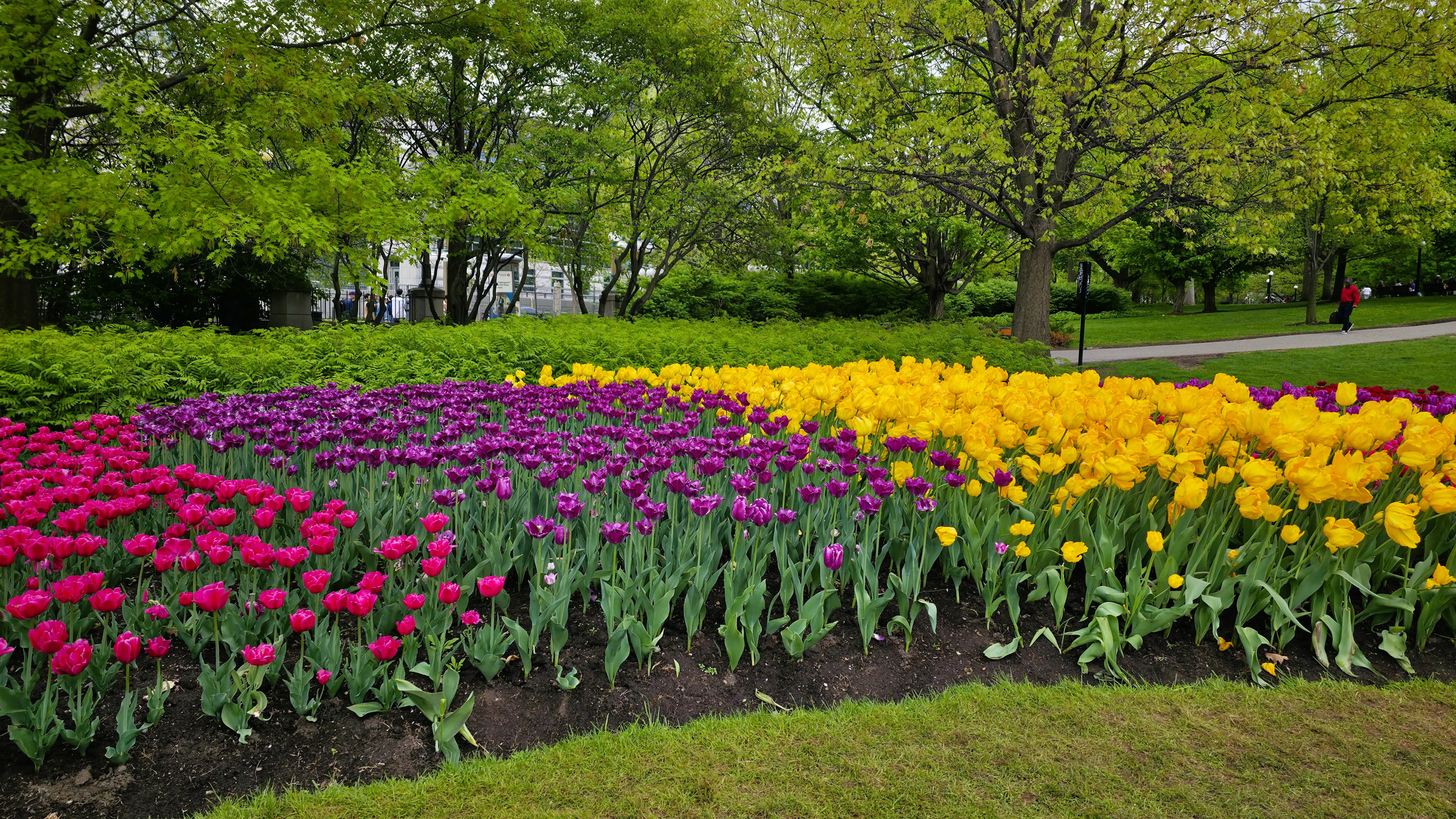Canadian Tulip Festival, Ottawa, Canada