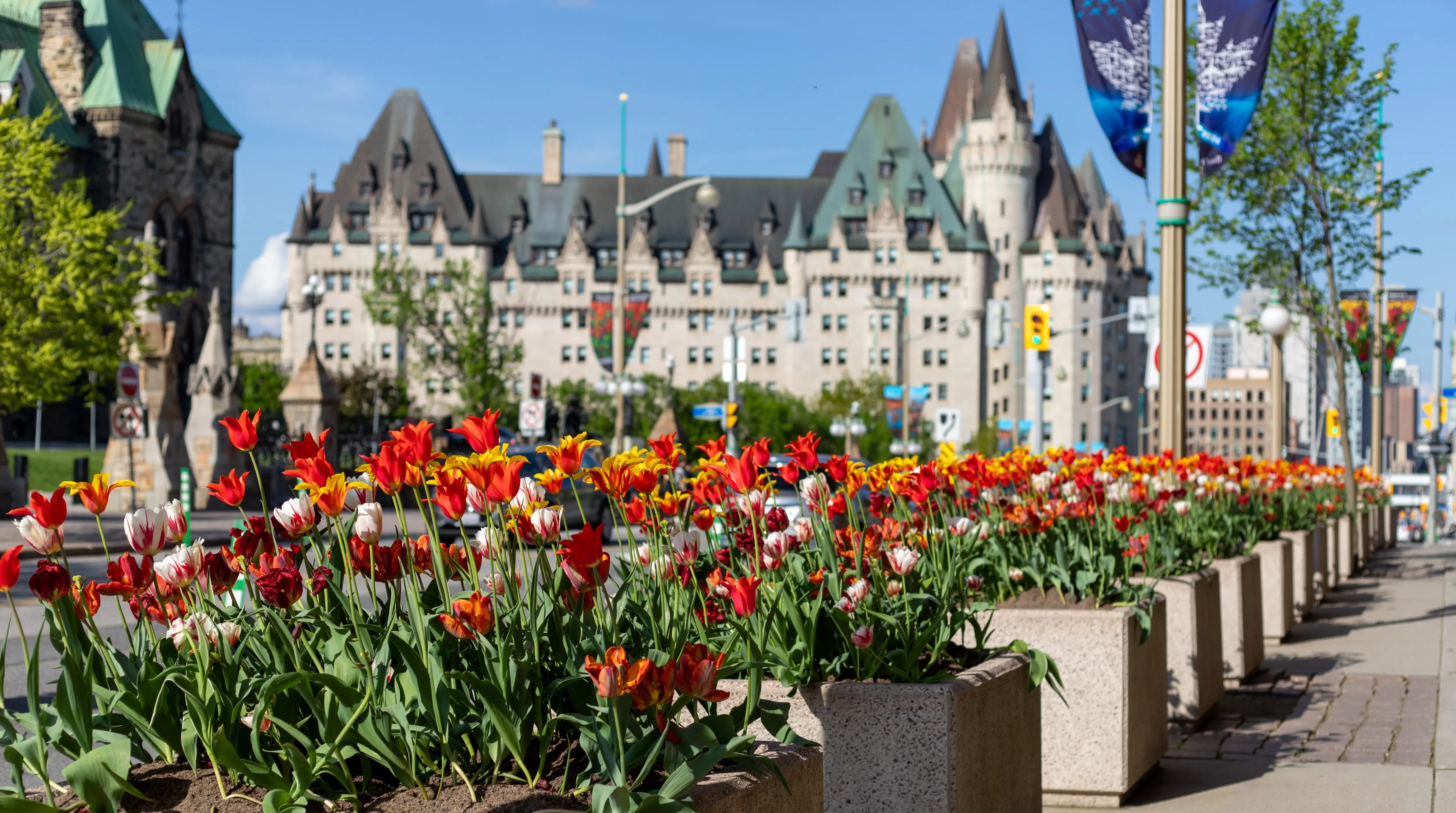 Canadian Tulip Festival, Ottawa, Canada