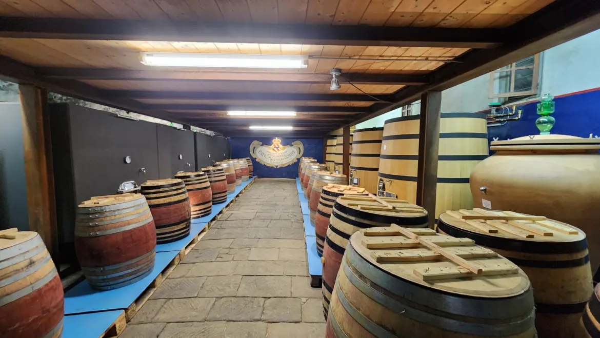 Wine cellar, Villa Le Corti, Tuscany