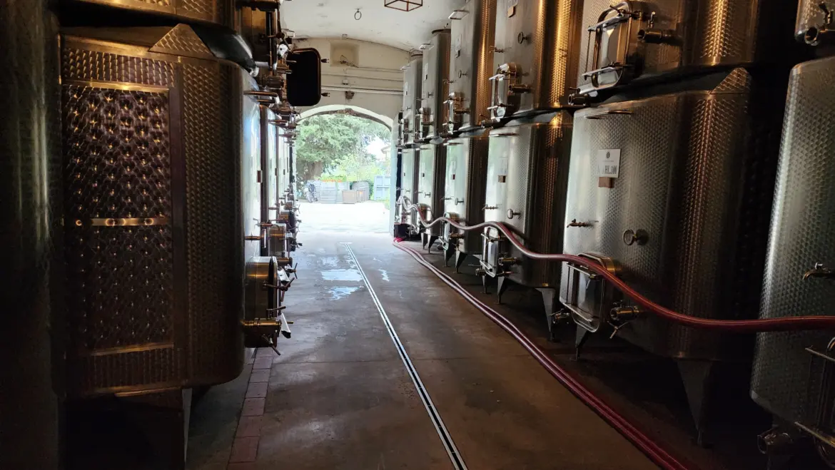 Wine cellar, Villa Le Corti, Tuscany