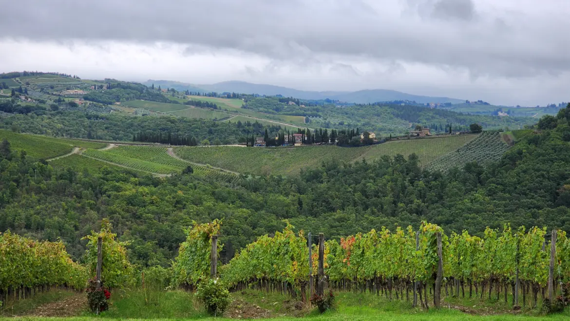 Beautiful Chianti Countryside, Tuscany