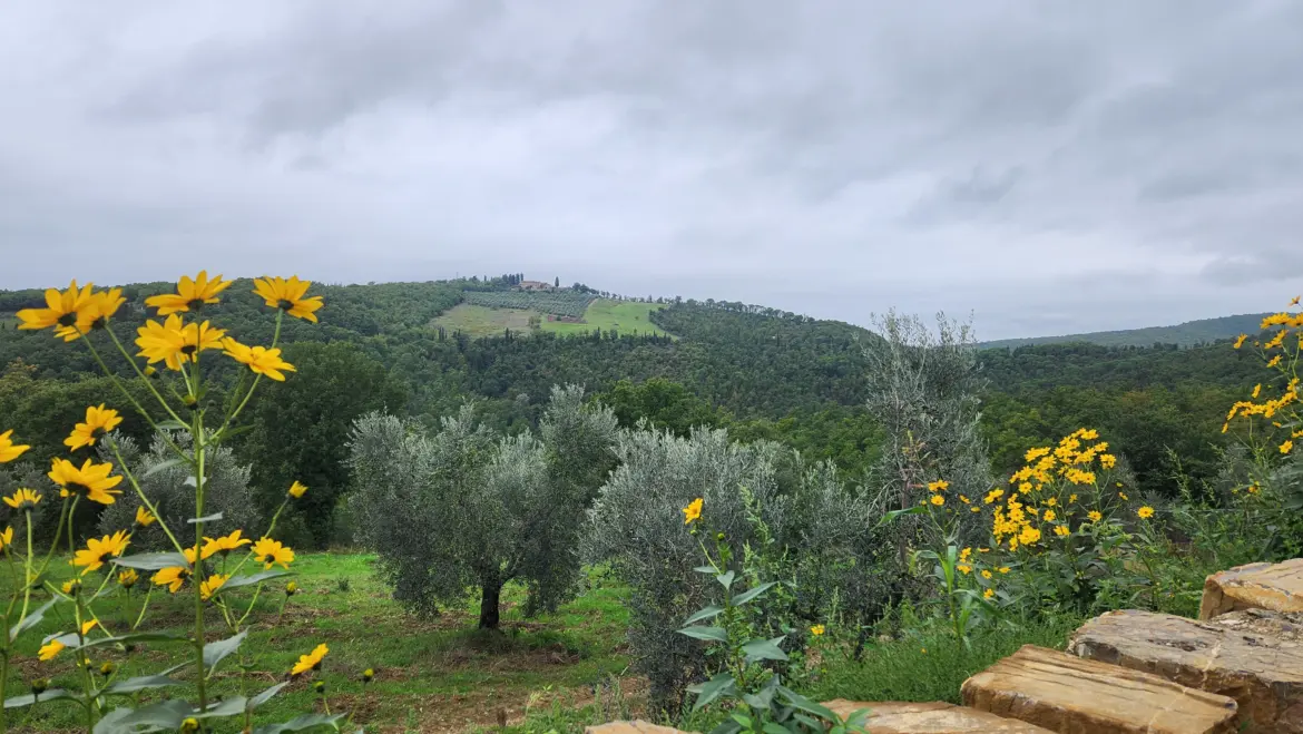 Beautiful Chianti Countryside, Tuscany