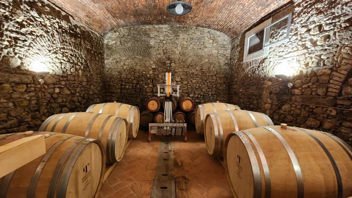 Wine cellar, Villa Poggio Torselli, Tuscany