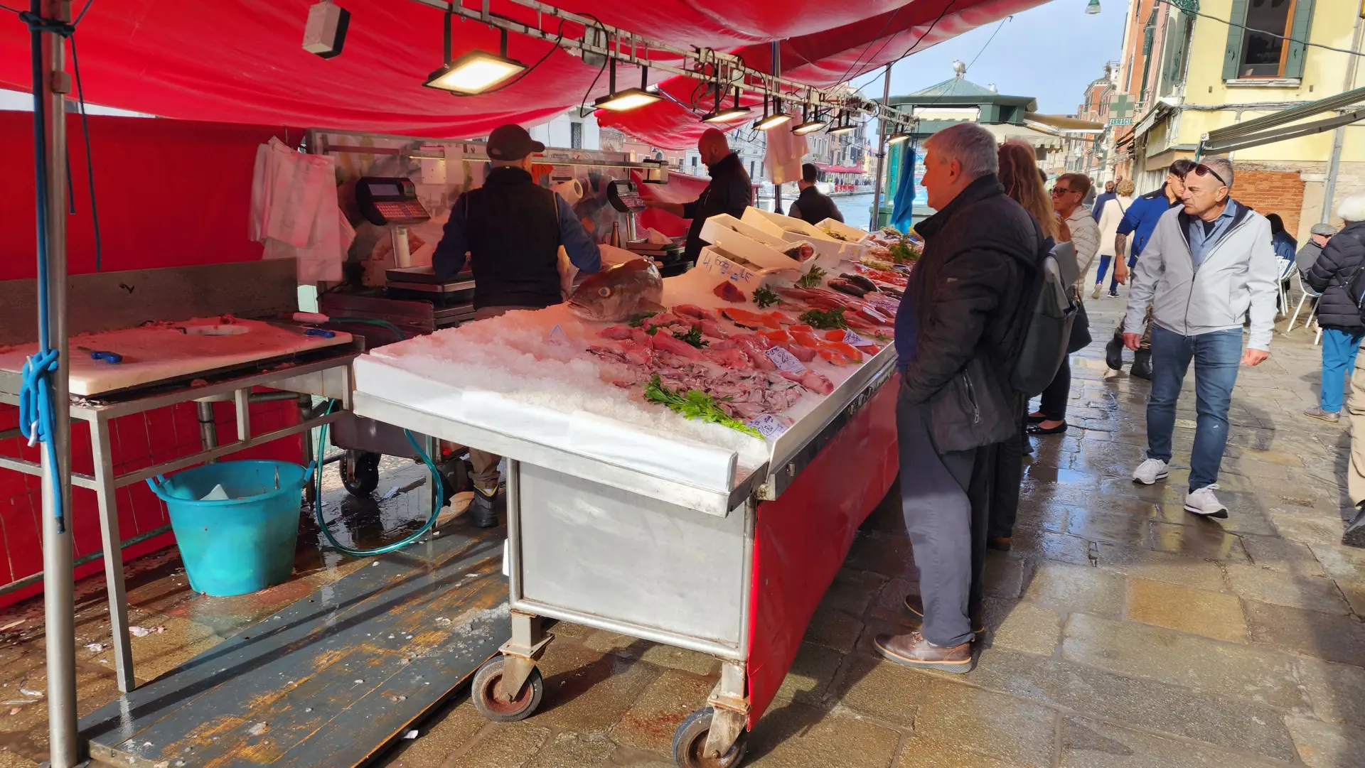 Local Fish Market, Venice