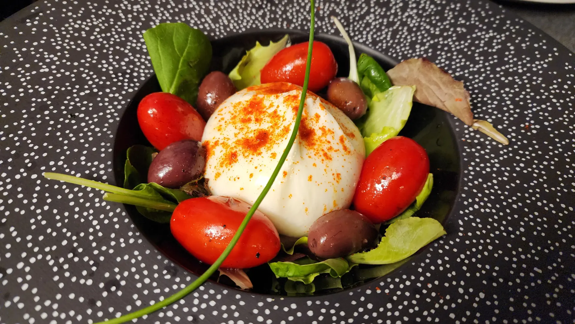 Buffalo Mozzarella with Cherry Tomatoes and Olives, Spaghetteria Pizzeria 6342 A Le Tole, Venice
