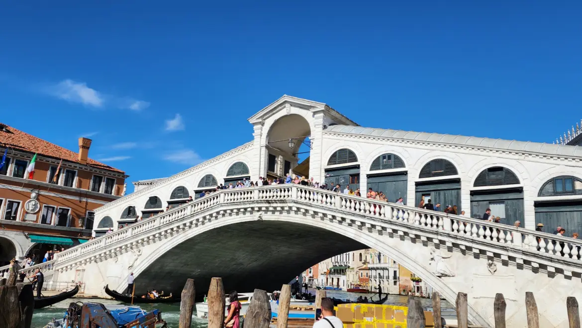 The Rialto Bridge, Venice