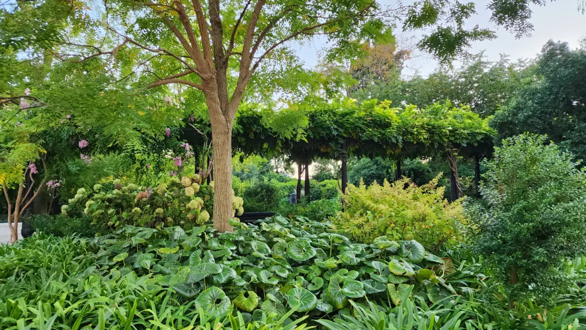 Lush Greenery and Pergolas, Royal Gardens of Venice (Giardini Reali)