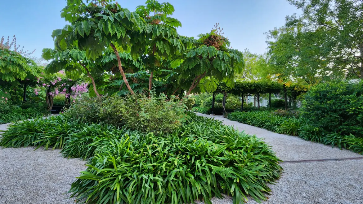 Royal Gardens of Venice (Giardini Reali)