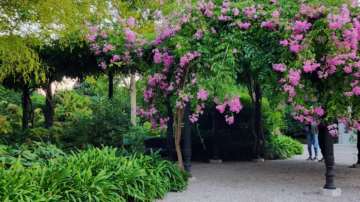 Royal Gardens of Venice (Giardini Reali)
