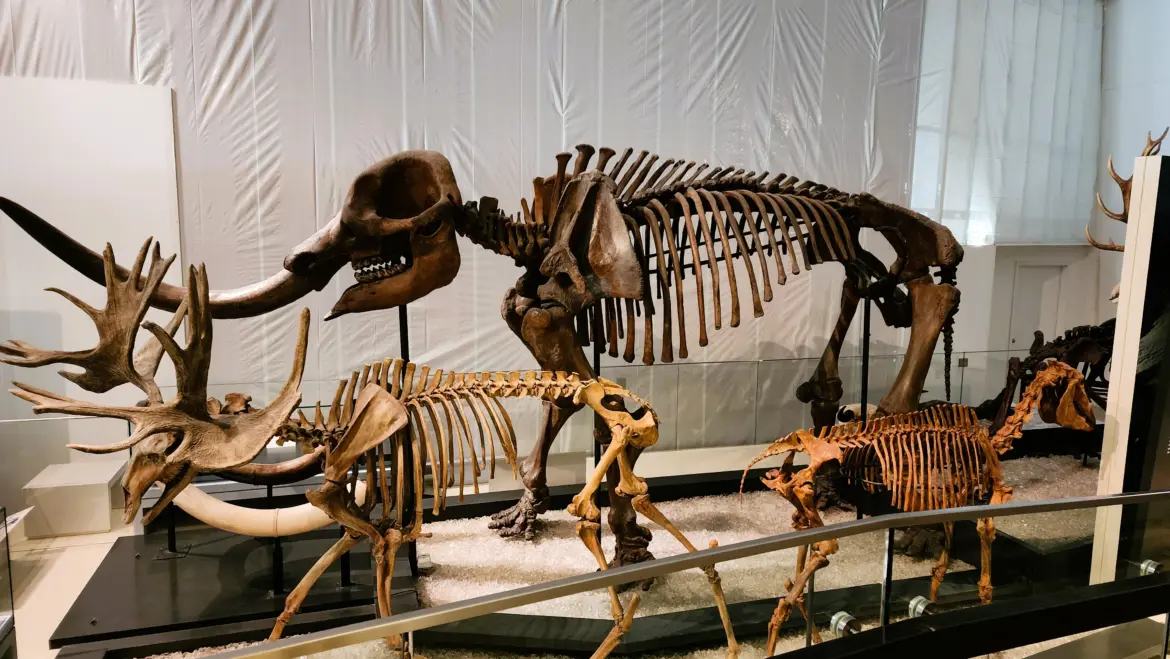 The Age of Dinosaurs, Royal Ontario Museum (ROM), Toronto, Canada