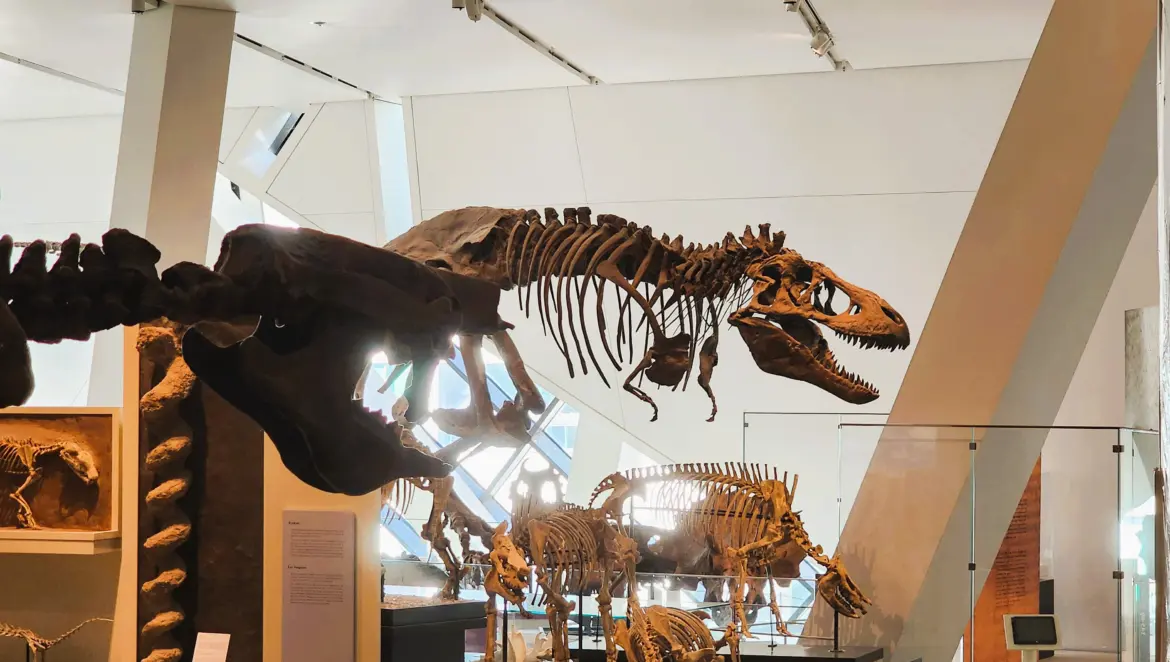 The Age of Dinosaurs, Royal Ontario Museum (ROM), Toronto, Canada