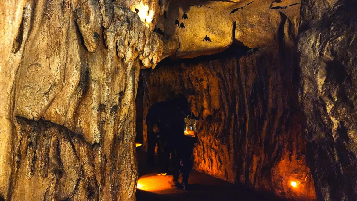 The Bat Cave, Royal Ontario Museum (ROM), Toronto, Canada