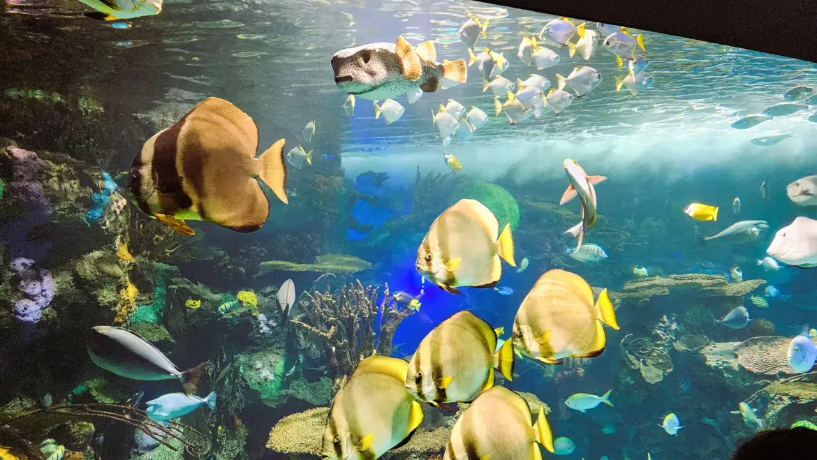 Ripley’s Aquarium, Toronto, Canada