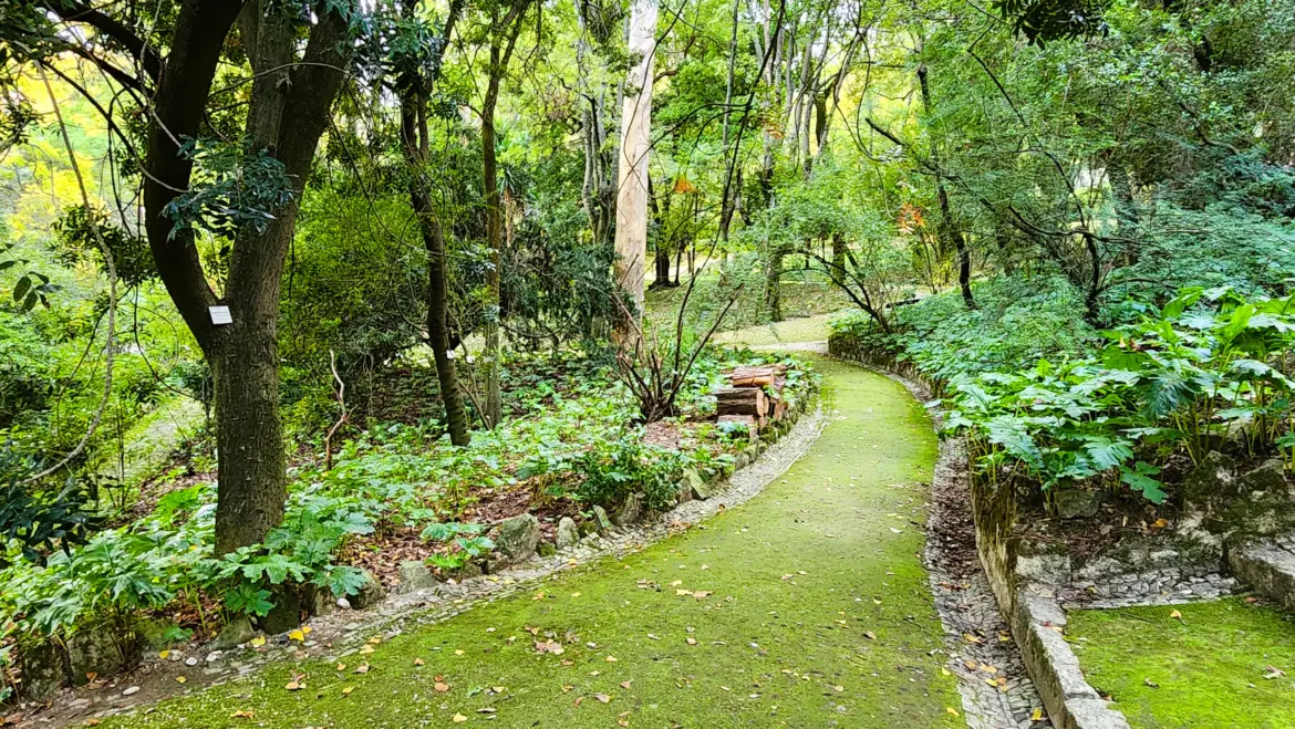 The Botanical Garden of Lisbon, Portugal