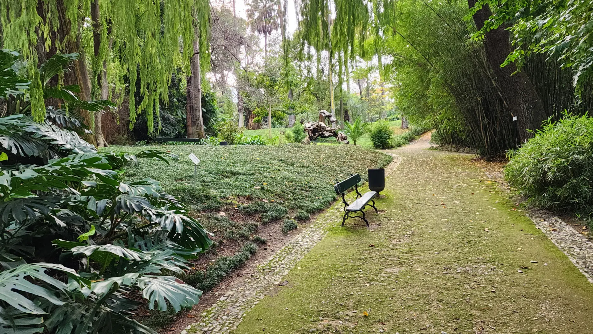 The Botanical Garden of Lisbon, Portugal