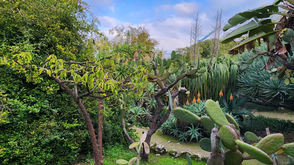 The Botanical Garden of Lisbon, Portugal