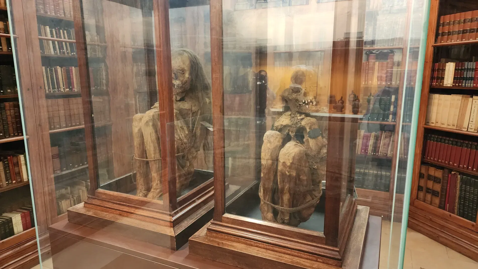 South American mummies, Carmo Archaeological Museum (Museu Arqueológico do Carmo), Lisbon, Portugal
