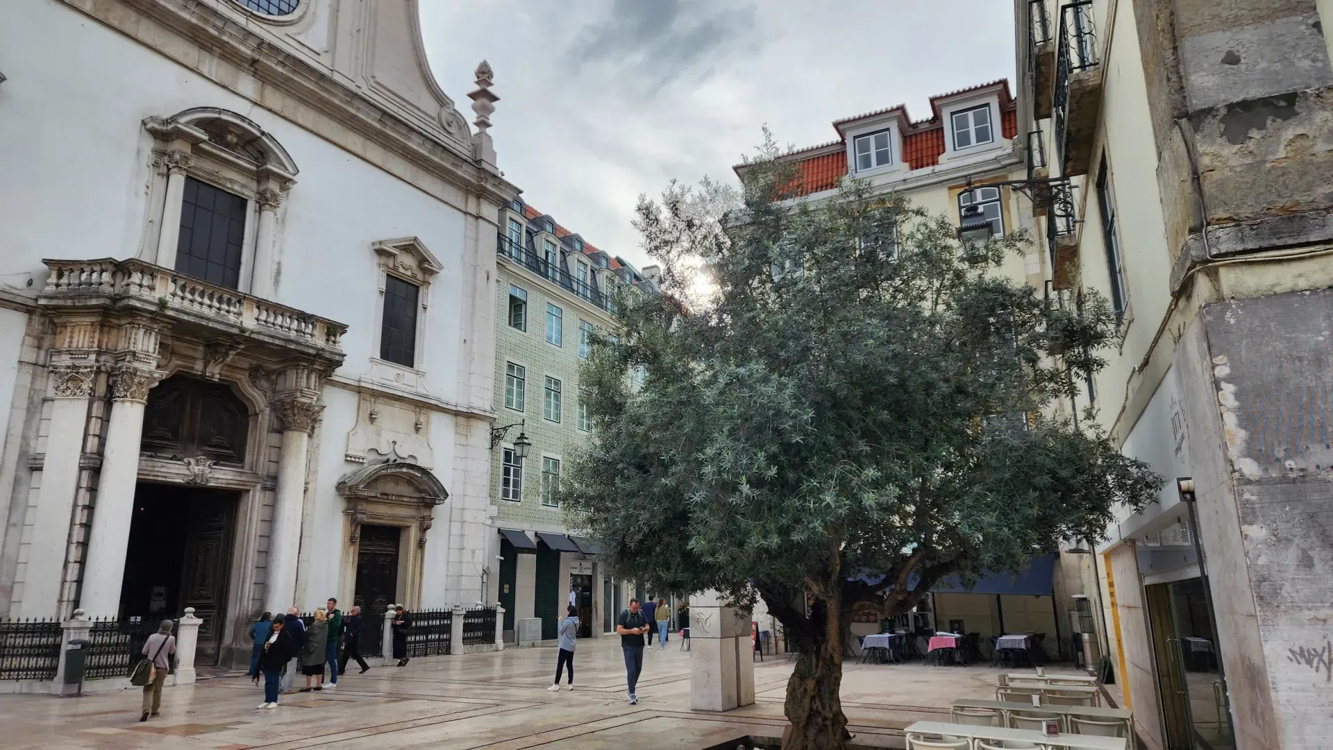 Olive tree in front of the Igreja de São Domingos (Church of St Dominic), Lisbon, Portugal