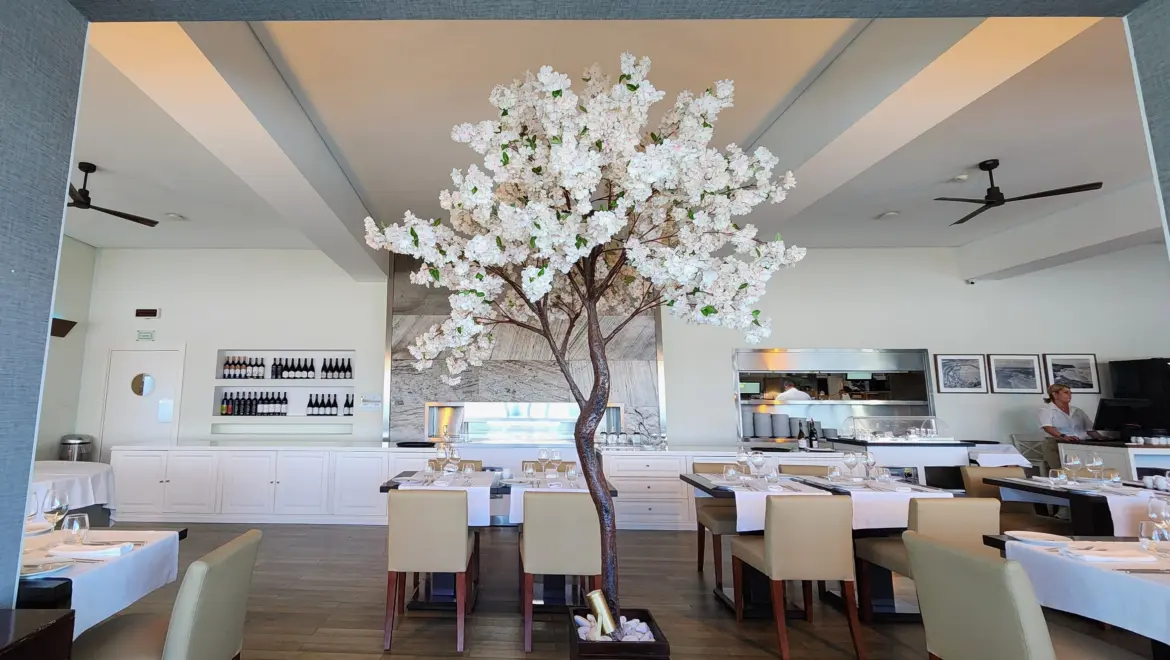 Arribas Terrace Restaurant, Sintra, Portugal