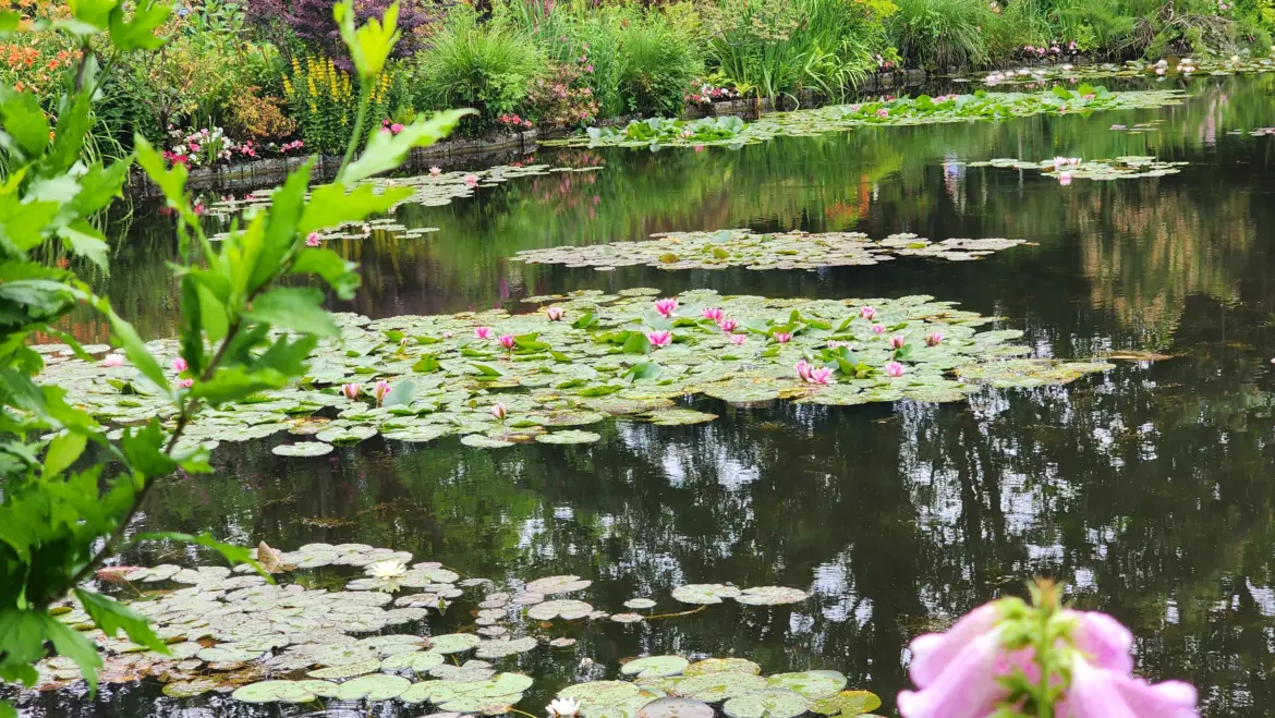 Water lilies in Claude Monet’s garden in Giverny, France