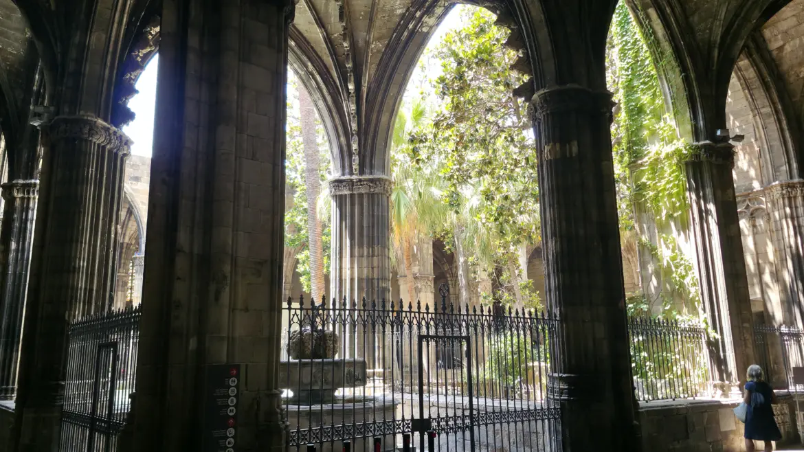 Barcelona Cathedral cloister, Barcelona, Spain