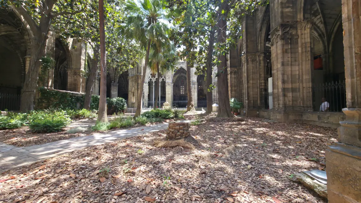 Barcelona Cathedral cloister, Barcelona, Spain