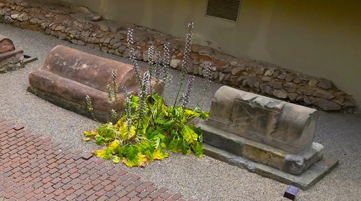 20250619_160405_5 Via Sepulcral Romana, Roman necropolis, Barcelona, Spain