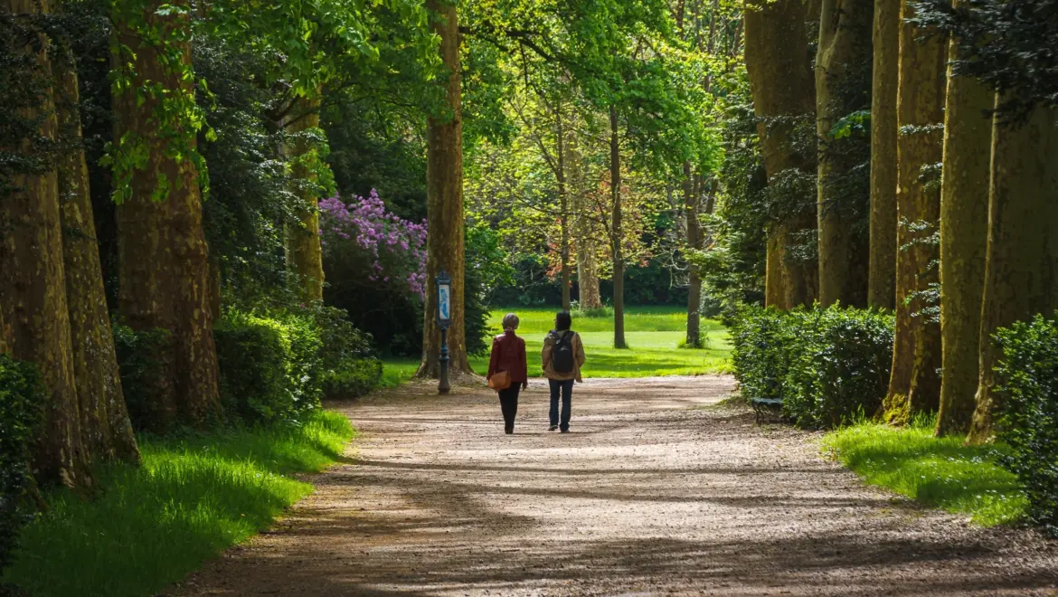 Fontainebleau Forest, France