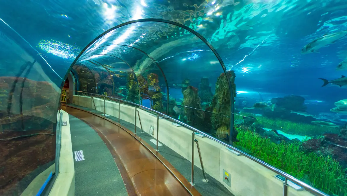 The Oceanarium, The Aquarium of Barcelona (L’Aquàrium de Barcelona), Port Vell, Barcelona, Spain