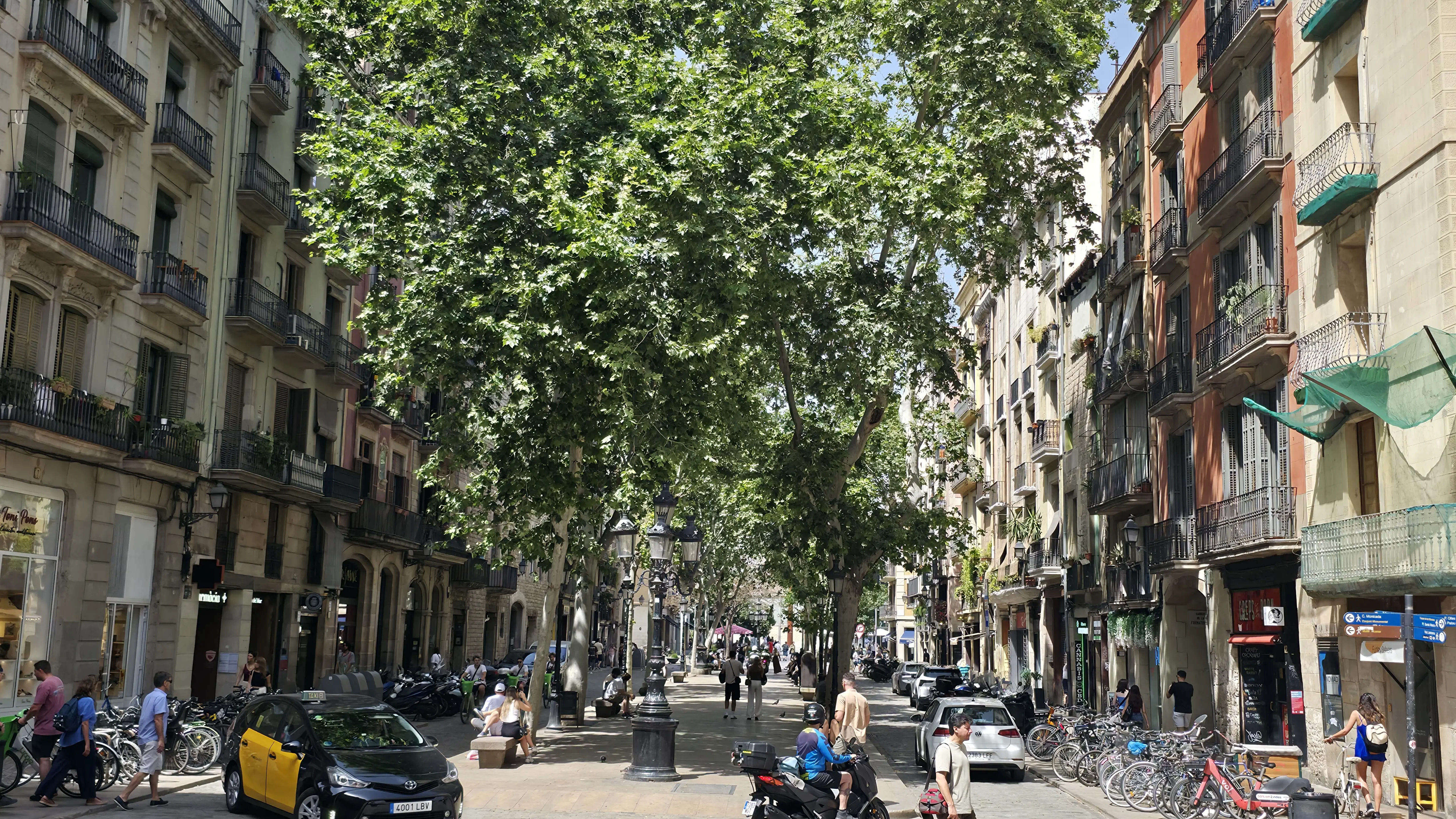 Passeig del Born, Barcelona, Spain