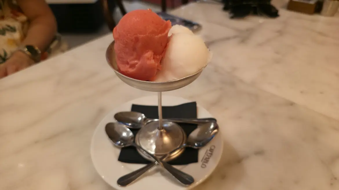 House-made ice cream and sorbet, Café Pablo, Museu Picasso (Picasso Museum), Barcelona, Spain
