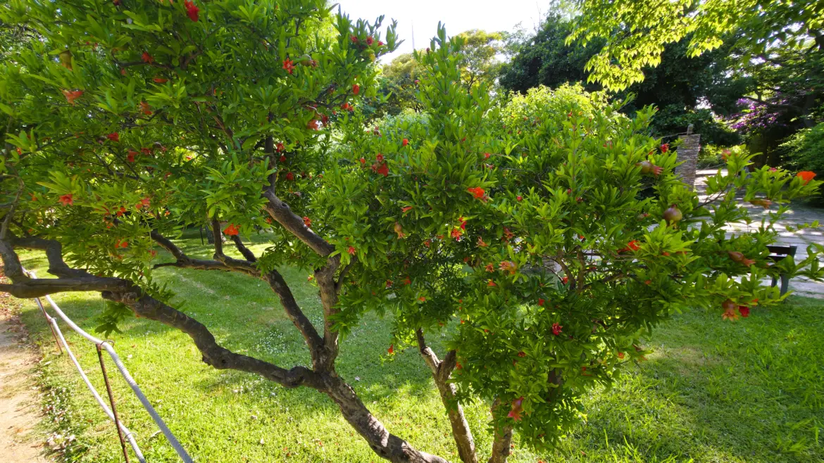 AIDS Memorial, Montjuïc, Barcelona, Spain