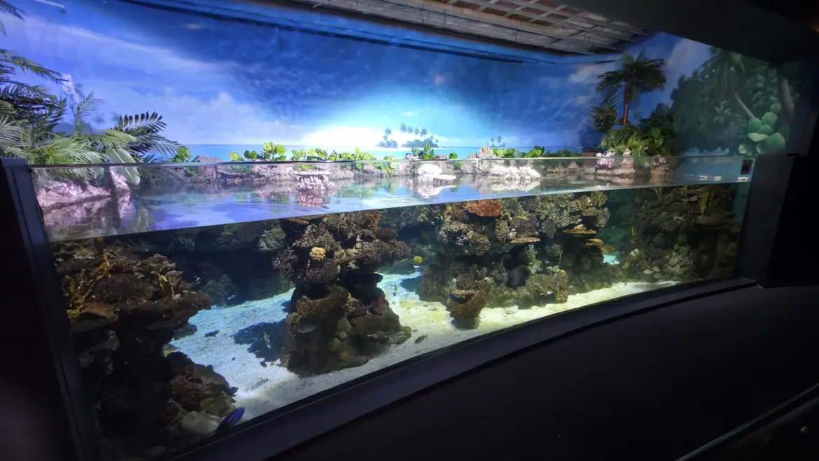 Explora!, The Aquarium of Barcelona (L’Aquàrium de Barcelona), Port Vell, Barcelona, Spain