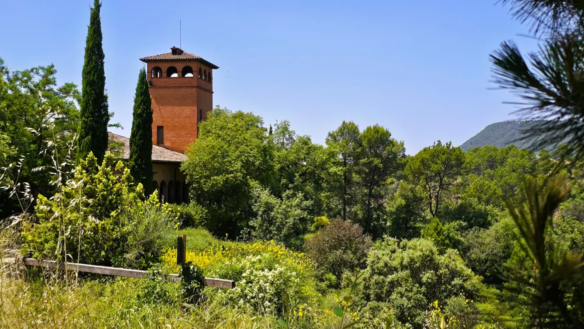 Abadal Winery, Barcelona, Spain