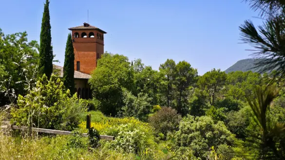 Abadal Winery, Barcelona, Spain