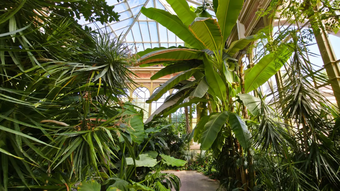 Hivernacle del Parc de la Ciutadella, Barcelona, Spain