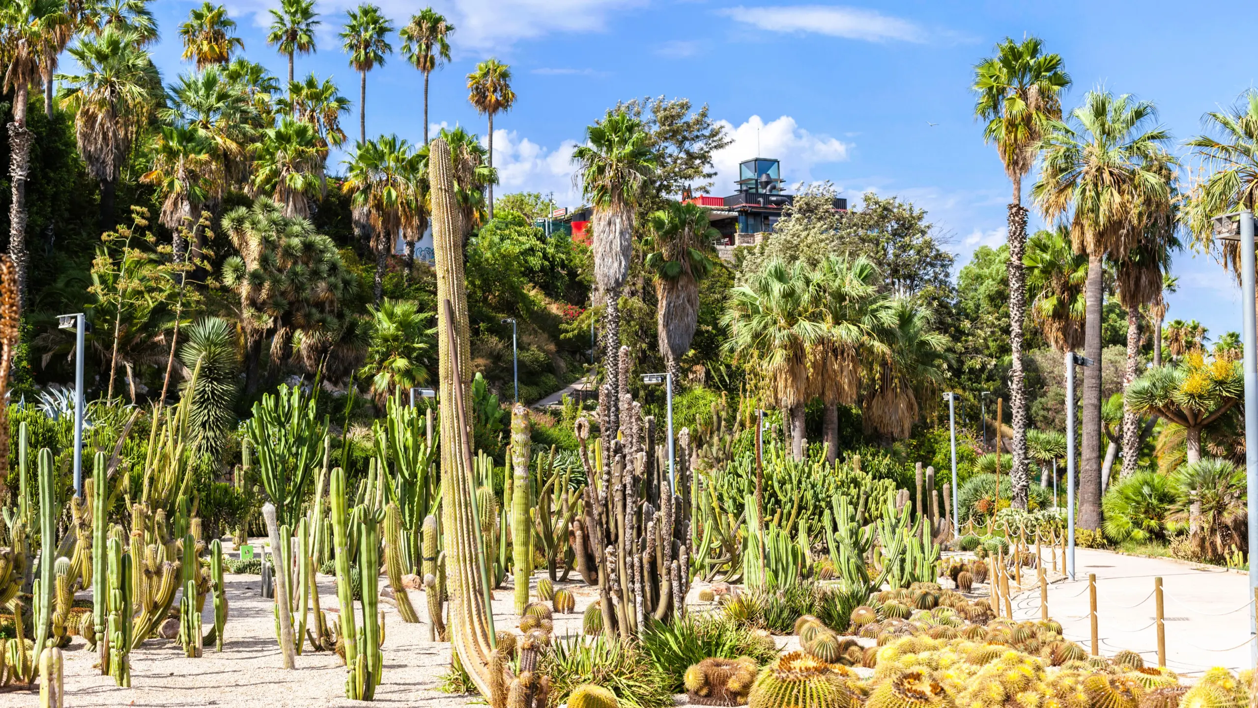 Jardins de Mossèn Costa i Llobera, Montjuïc, Barcelona, Spain