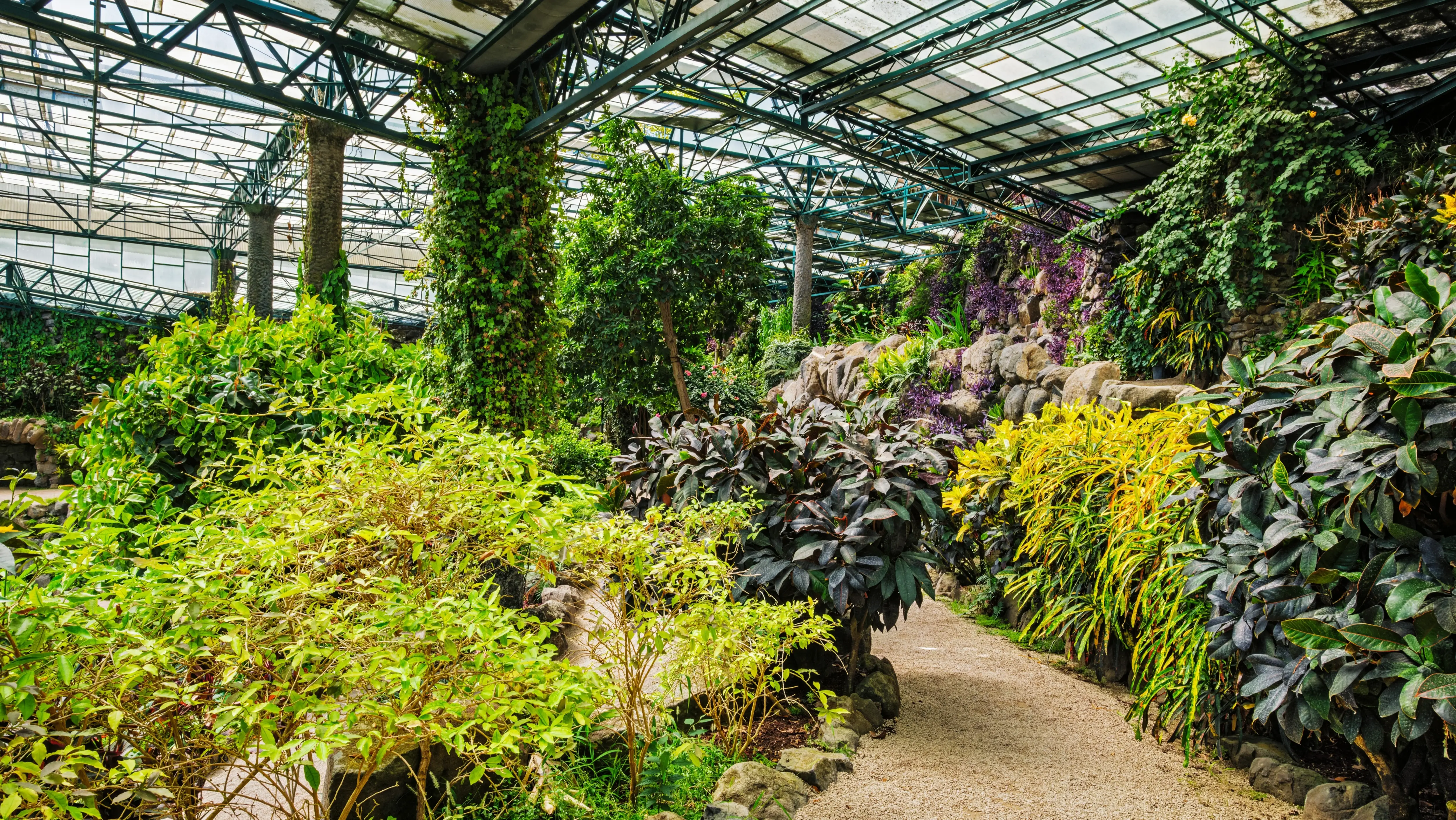 Estrufa Fria greenhouse, Parque Eduardo VII (Edward VII Park), Lisbon, Portugal
