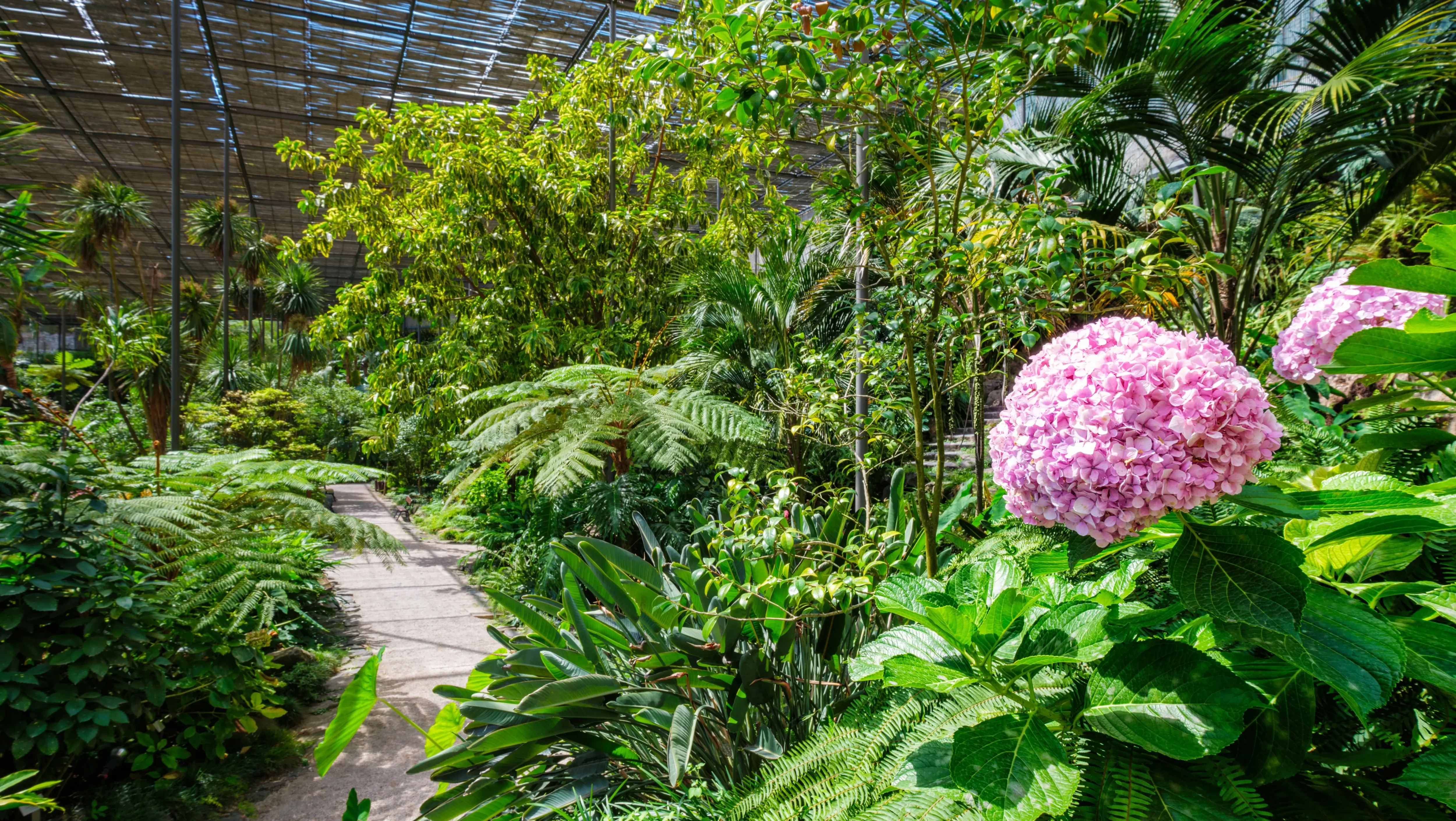 Estrufa Fria greenhouse, Parque Eduardo VII (Edward VII Park), Lisbon, Portugal