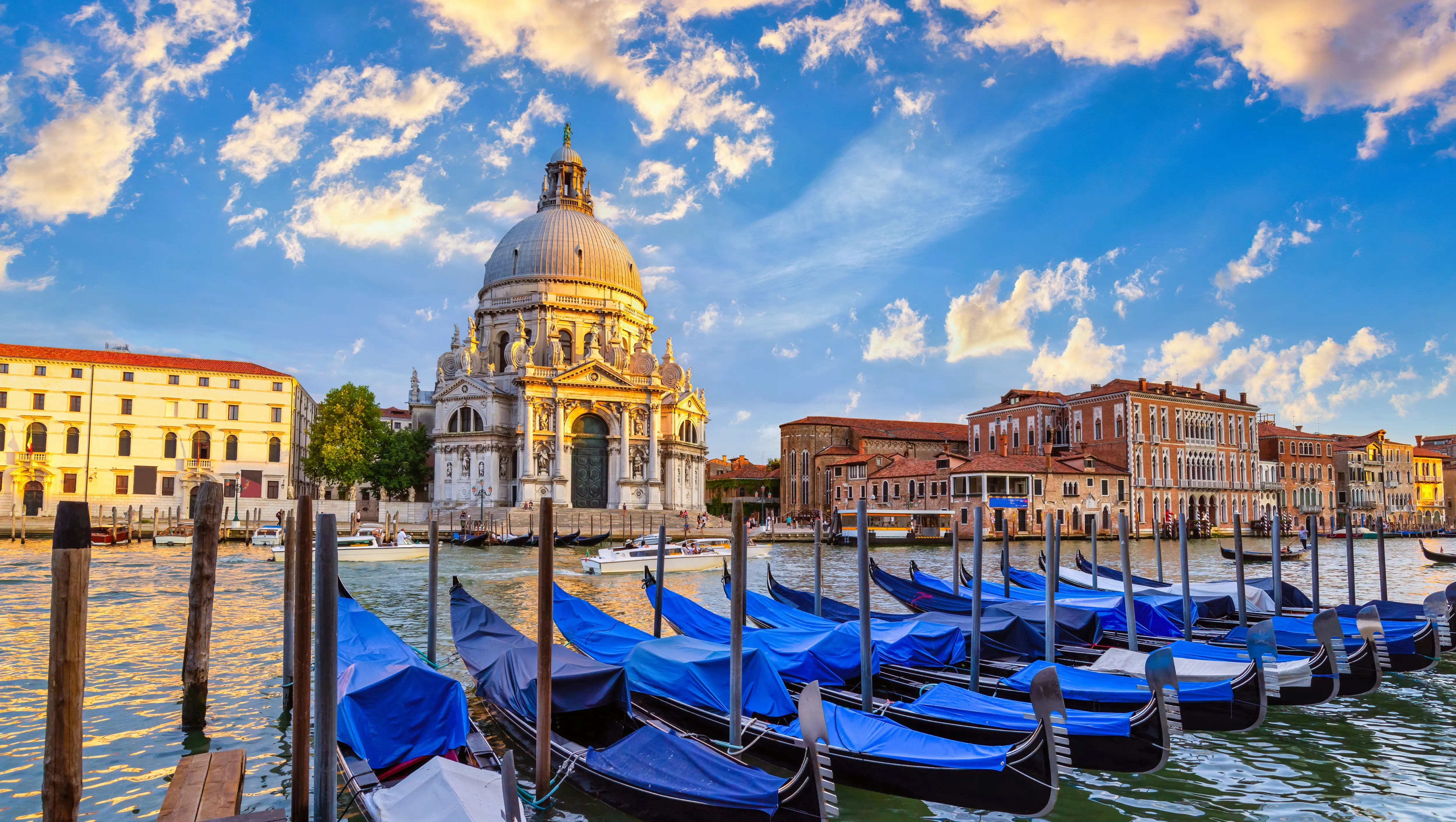Santa Maria della Salute church with blue Venetian gondolas moored at Piazzetta San Marco Grand Canal Venice Italy