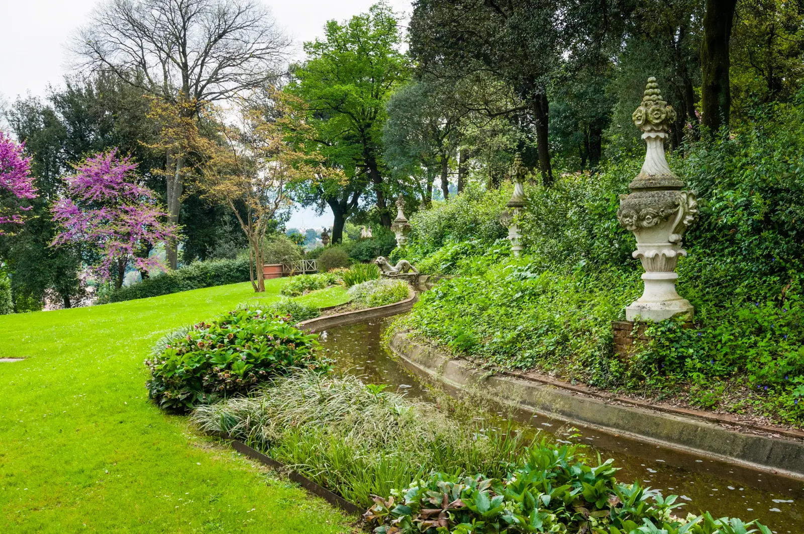 Bardini Gardens in Florence with terraced paths ornamental urns spring wisteria blooming and lush greenery on an overcast day