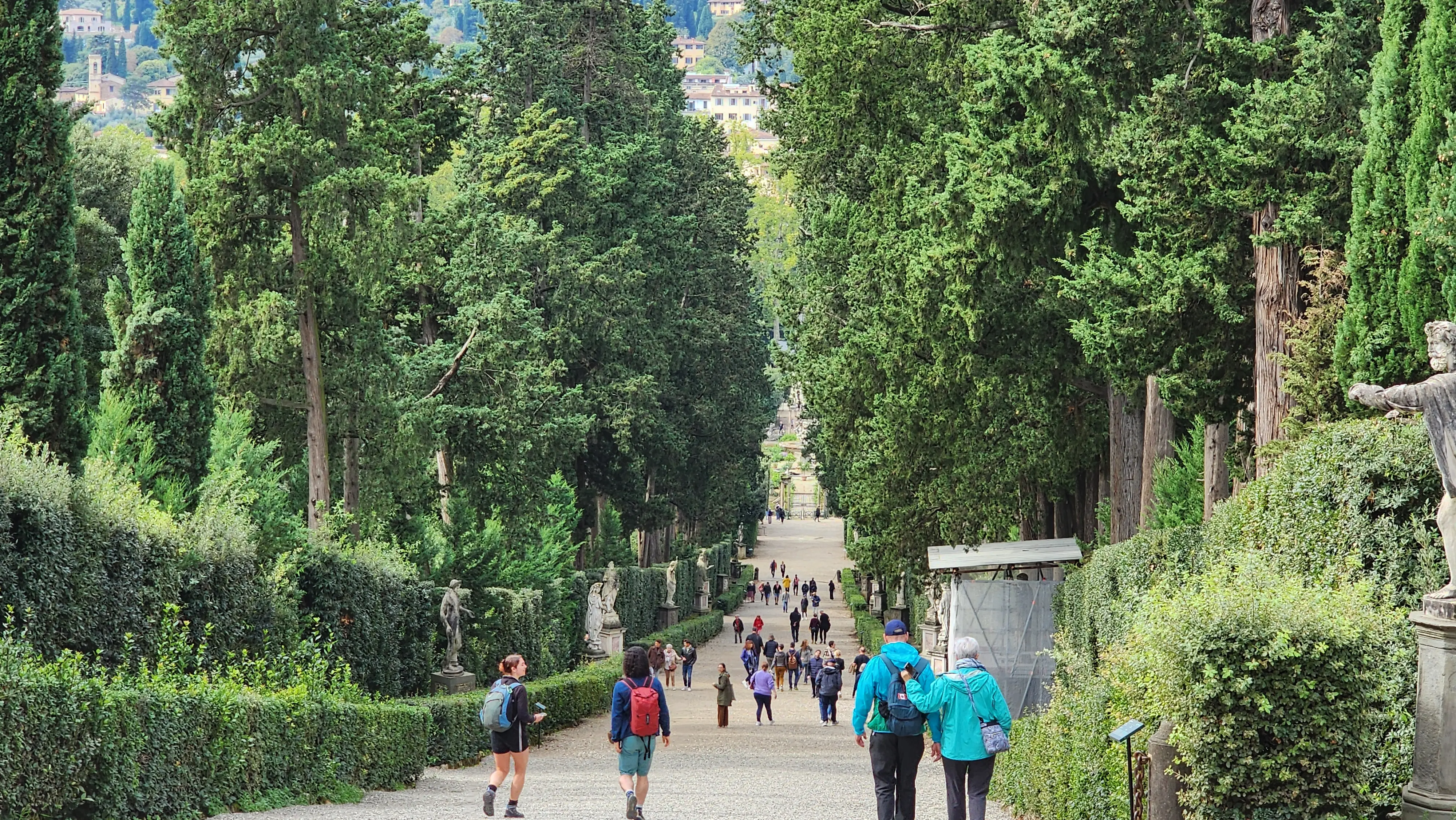 The Viottolone pathway lined with cypress trees in Boboli Gardens, Florence