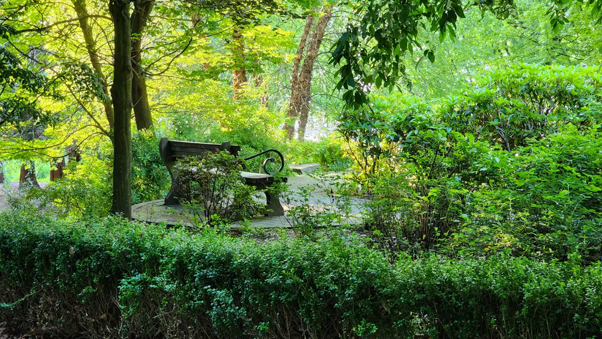 A peaceful park bench surrounded by lush gardens in Coal Harbour Seaside Park, Vancouver