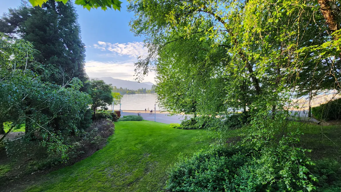 Lush greenery and waterfront views at Coal Harbour Seaside Park in Vancouver