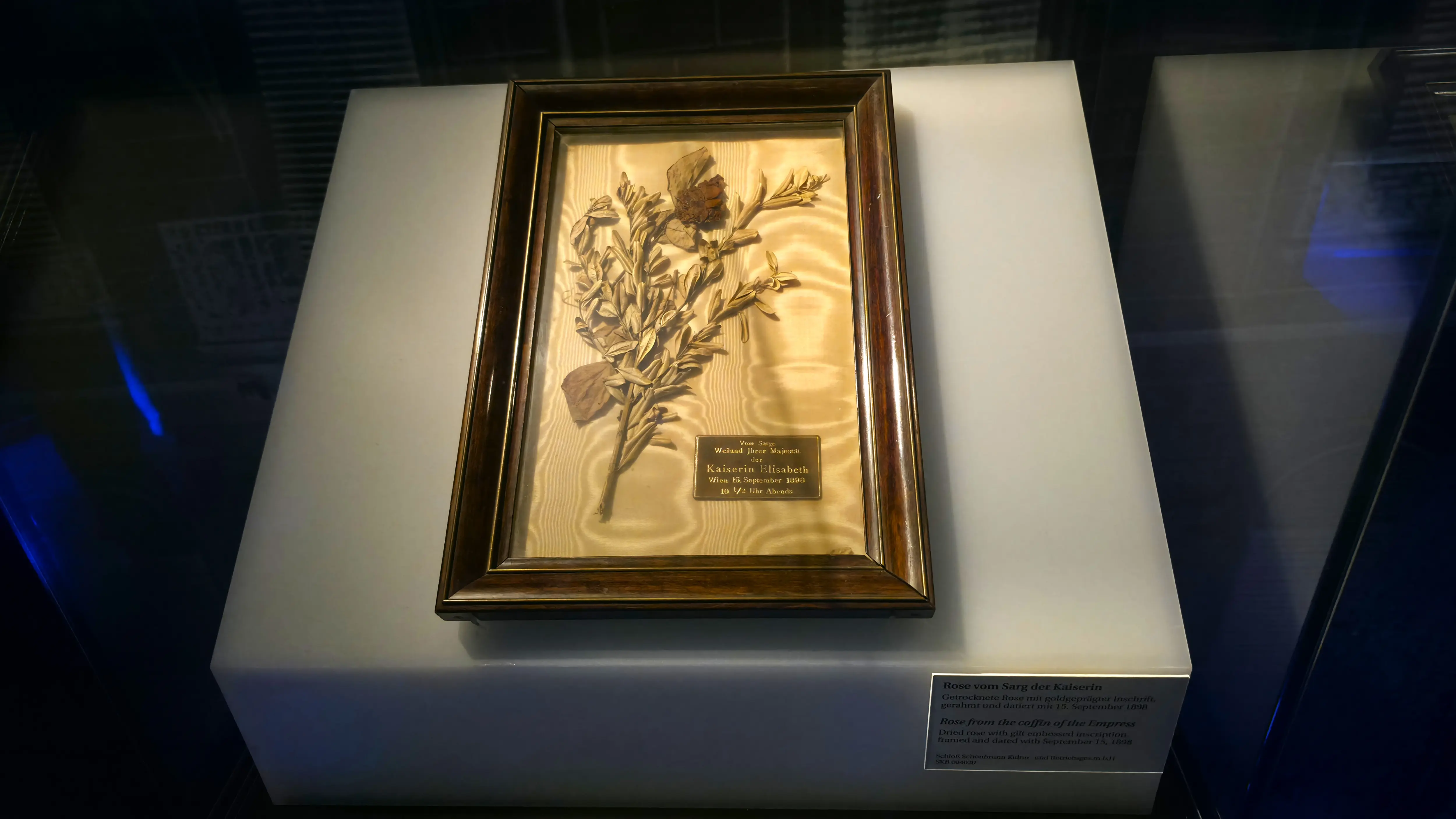 Dried rose from the coffin of Empress Elisabeth (Sisi), dated September 15, 1898, at the Sisi Museum in Vienna