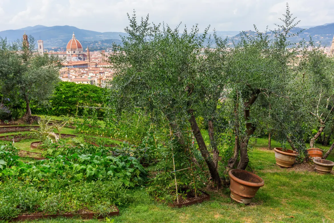 Lush green corner of Giardino Bardini with a view of Florence Duomo and cityscape in the distance framed by garden vegetation