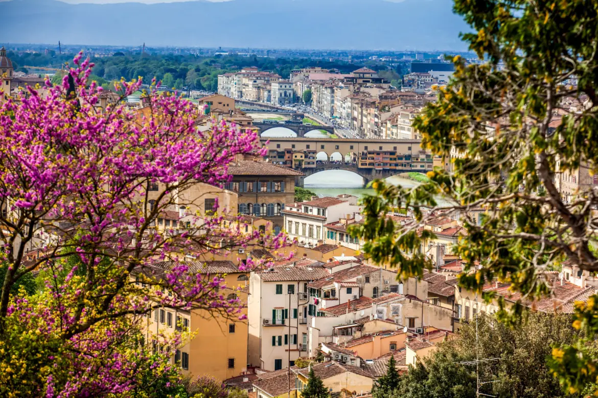 View of the Arno River and Ponte Vecchio from Giardino delle Rose in Florence, framed by purple spring blossoms and terracotta rooftops