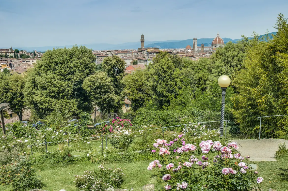 Giardino delle Rose in Florence with pink roses blooming in foreground and panoramic city skyline including the Duomo in the distance