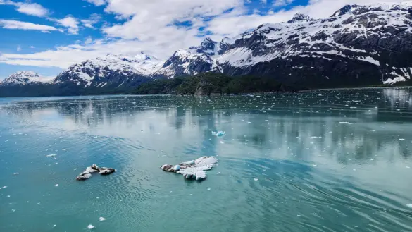 Glacier Bay National Park Icebergs Mountains Alaska Floating icebergs in Glacier Bay National Park, Alaska, with snow-capped mountains and glaciers in the background