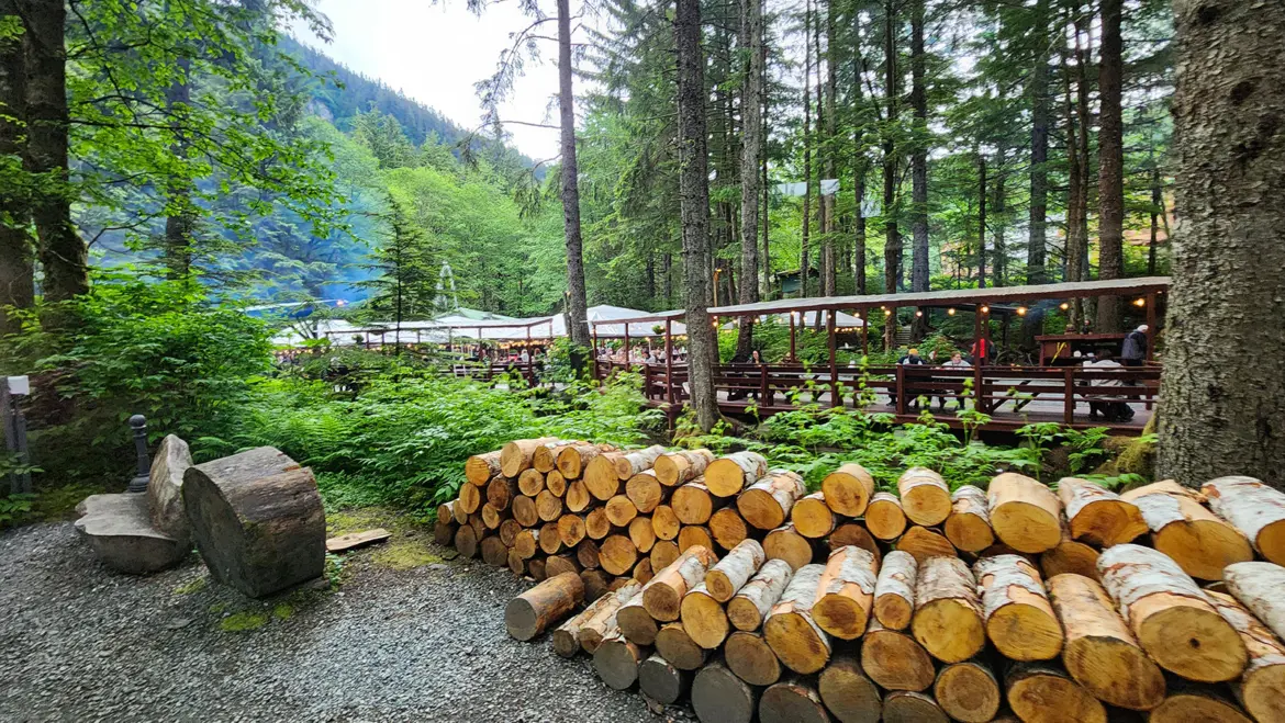 The outdoor setting of Gold Creek Salmon Bake in Juneau, Alaska, with stacked alder wood and covered dining area surrounded by forest